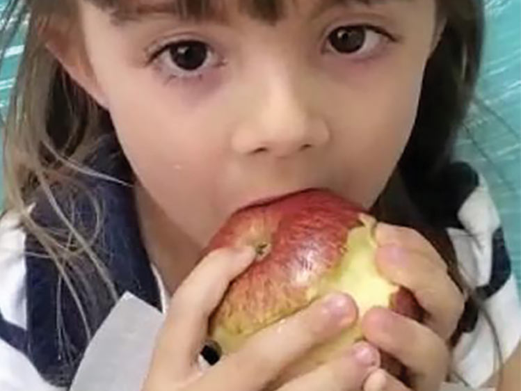 Incentivo a mastigação